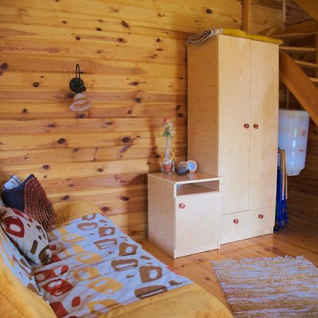 Agroturystyka Pod Jesionem2 Wladyslawowo Exterior photo